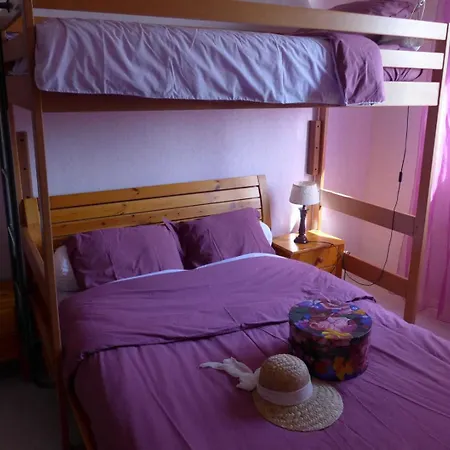 Les Iris * Soncourt-Sur-Marne